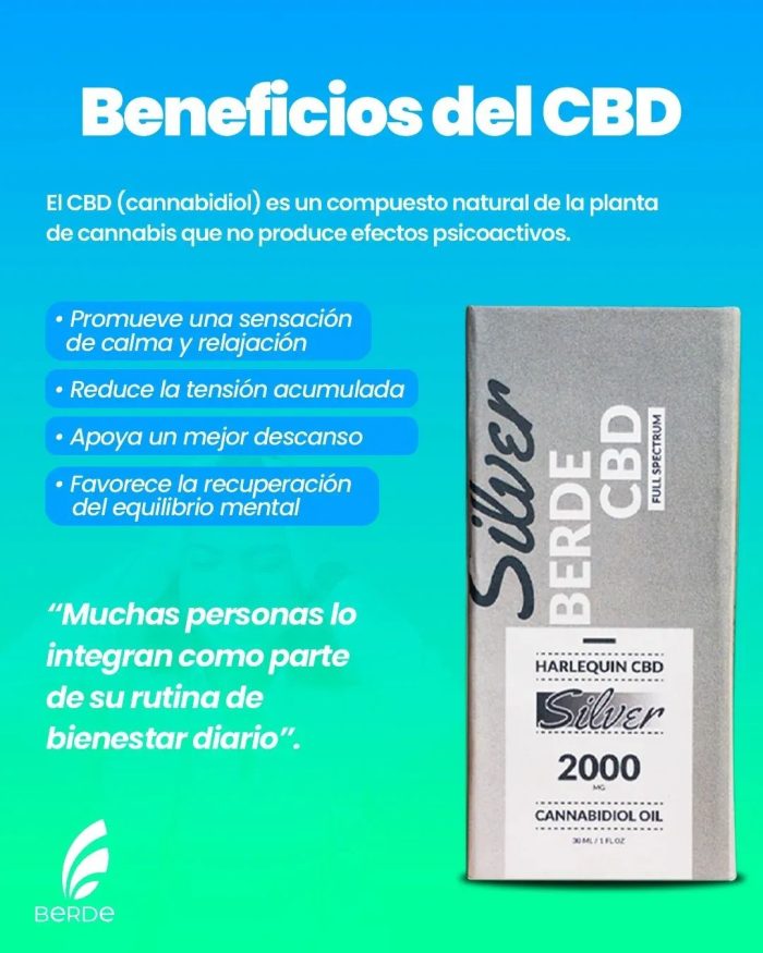 WhatsApp Image 2026-04-10 at 13.55.07 (2)