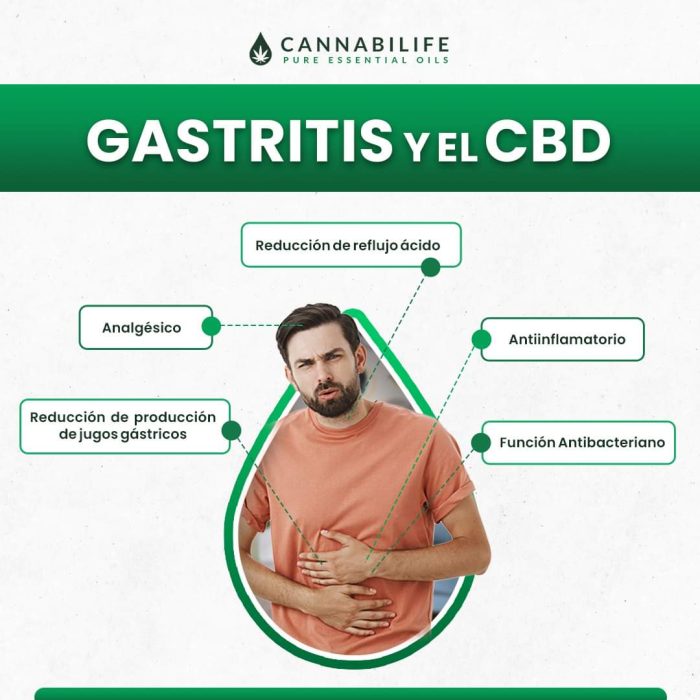 WhatsApp Image 2026-04-10 at 14.10.31 (1)