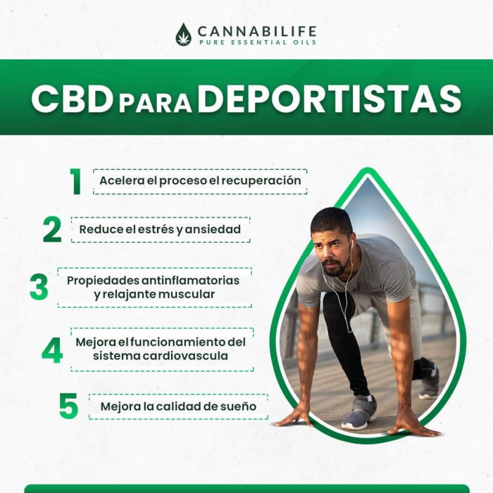 WhatsApp Image 2026-04-10 at 14.10.32