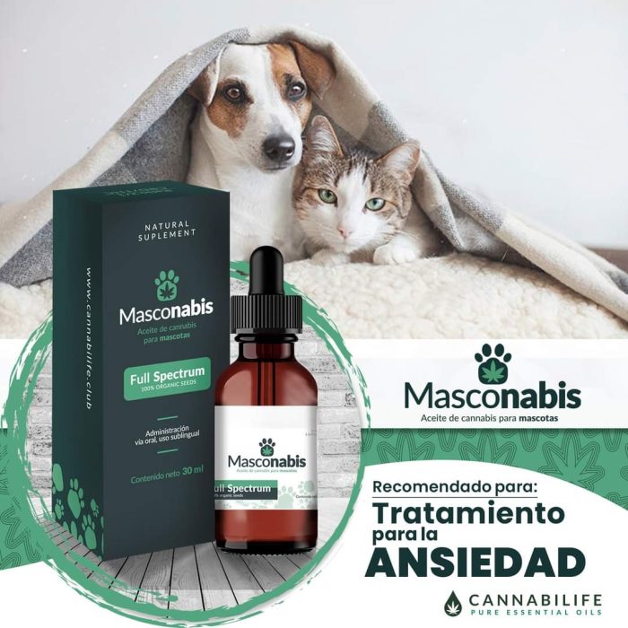 WhatsApp Image 2026-04-10 at 14.13.21 (1)